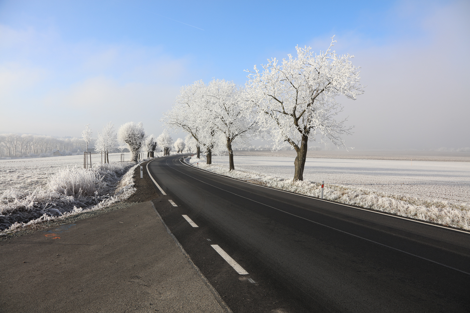 Winter