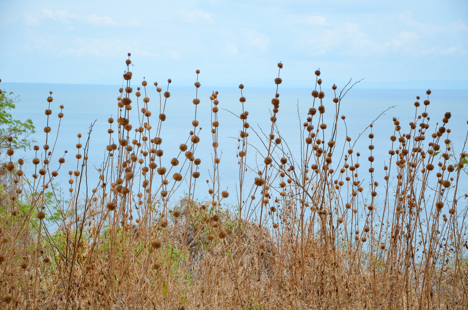 Horizont
