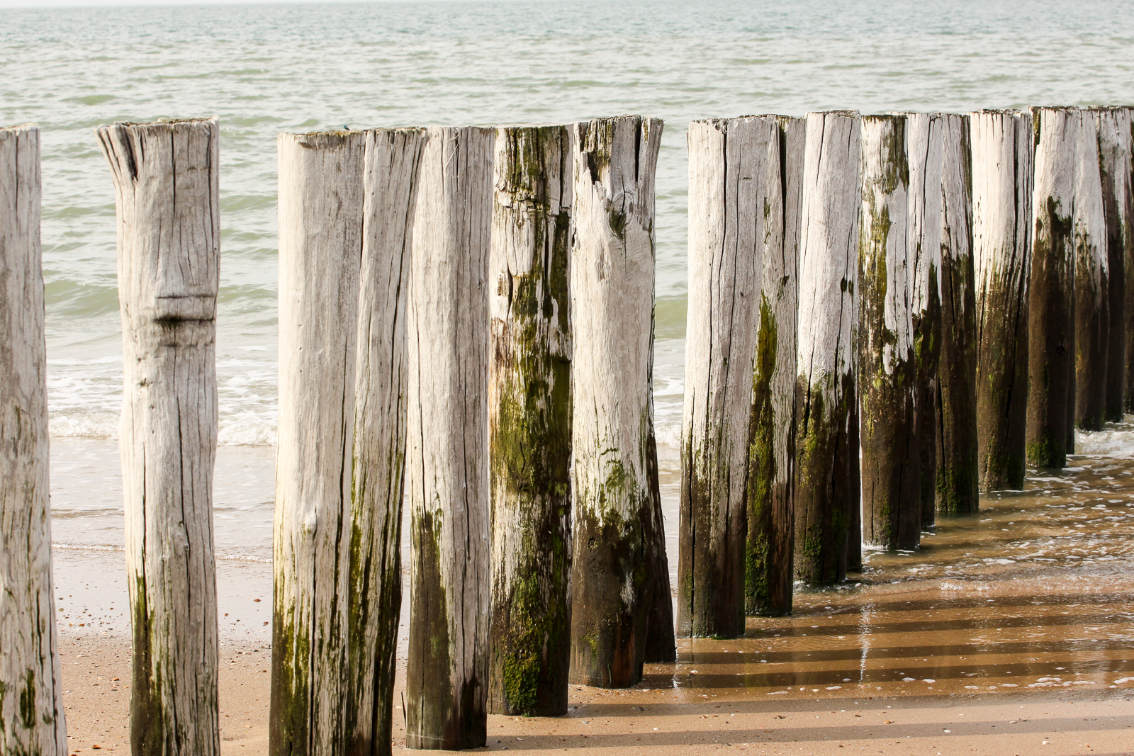 White Breakwater