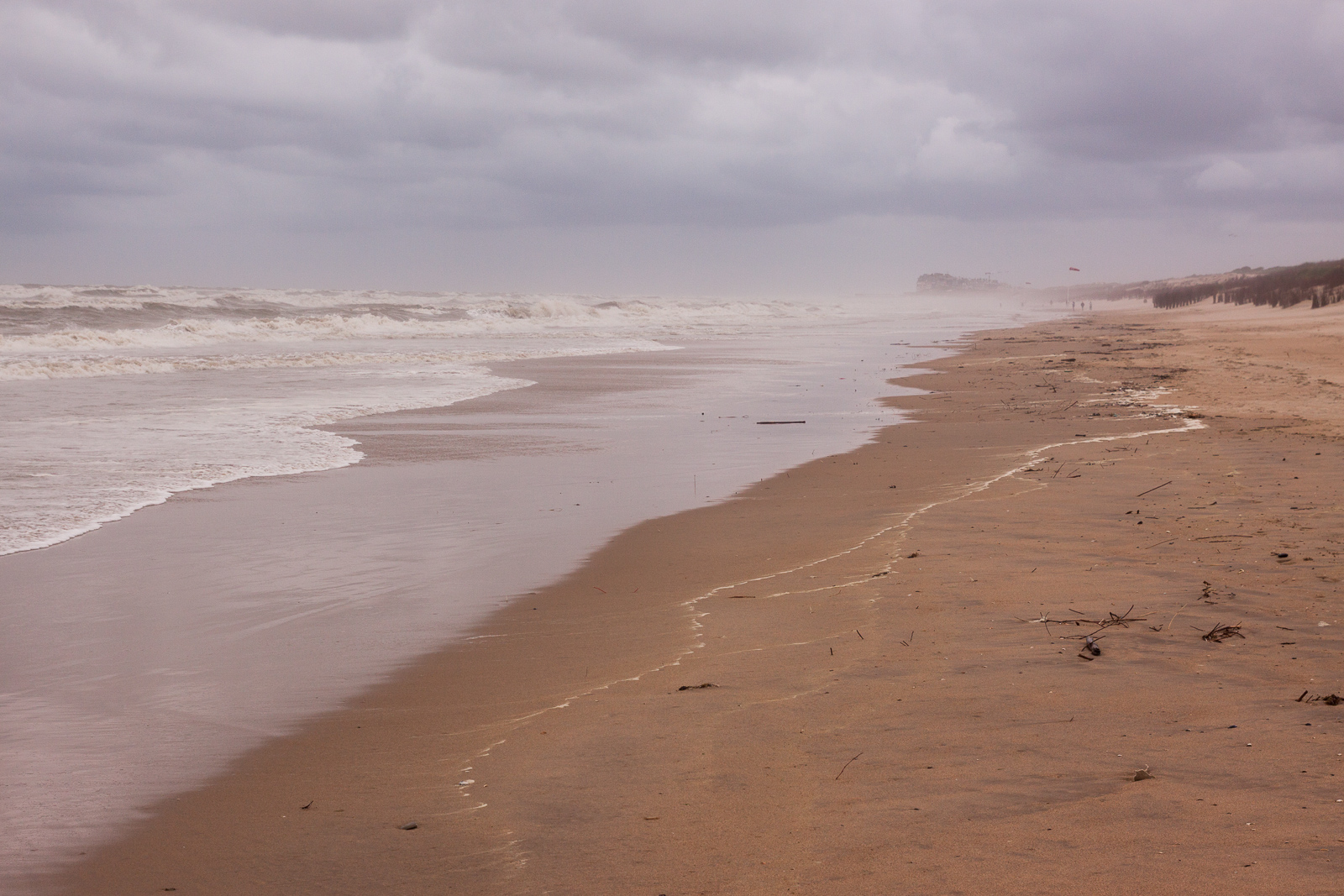 Coast